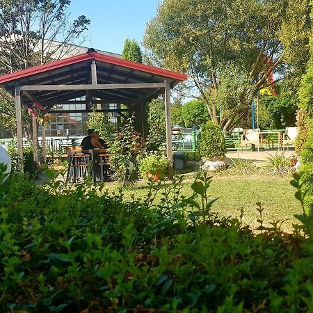Pensiunea Oliver Orsova Ngoại thất bức ảnh